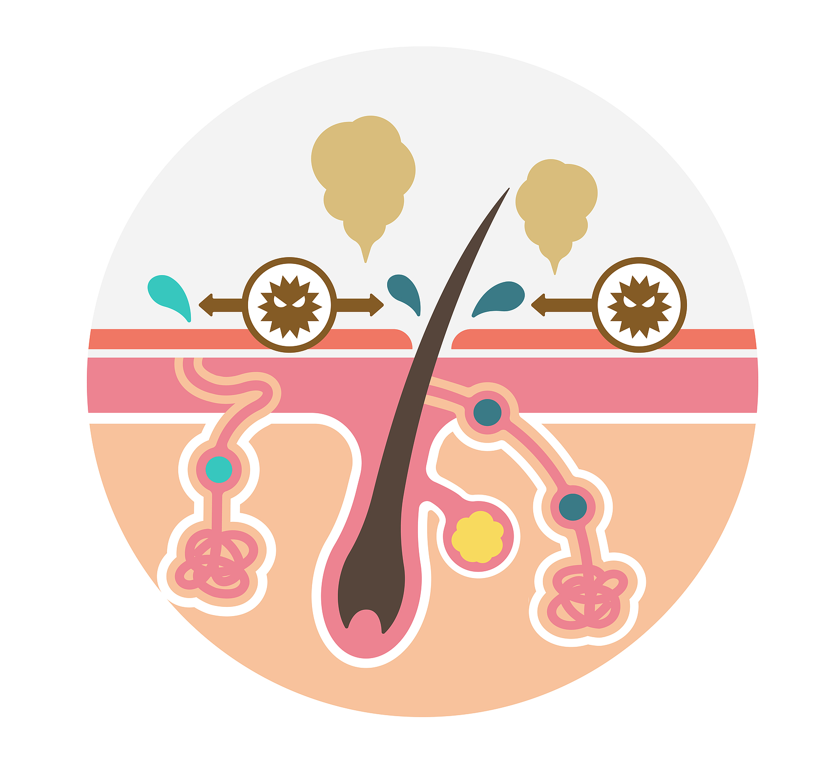 1751596093926375.png 圖片4.png